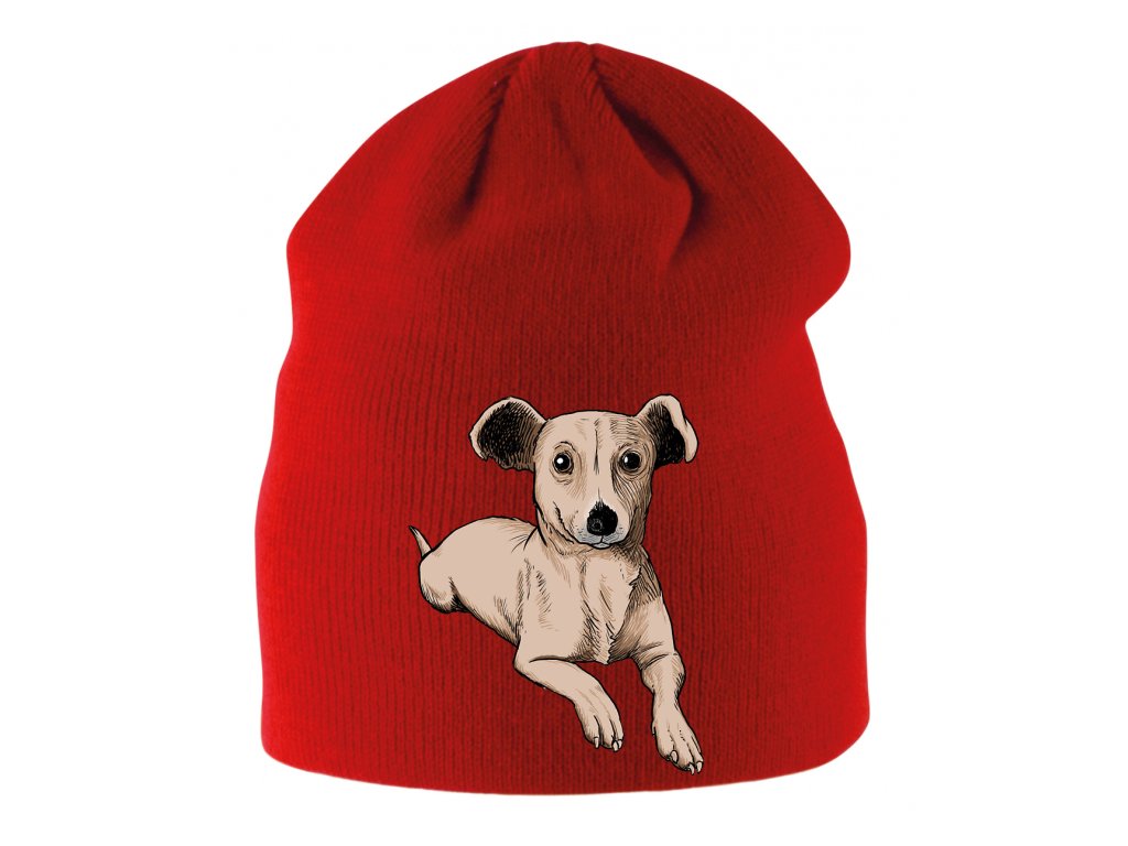 Detská zimná čiapka Chiweenie