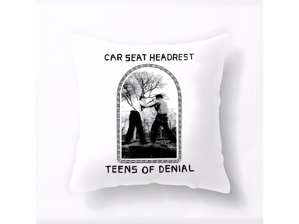 Vankúš Teens Of Denial kultový album