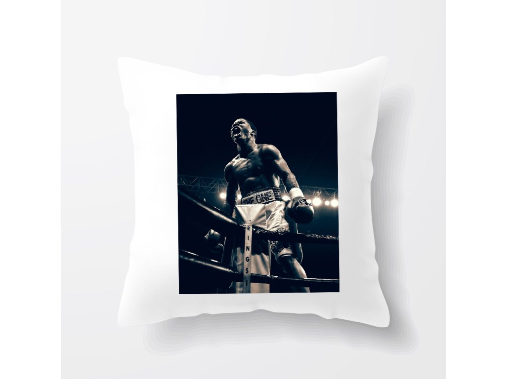 Vankúš Gervonta Davis