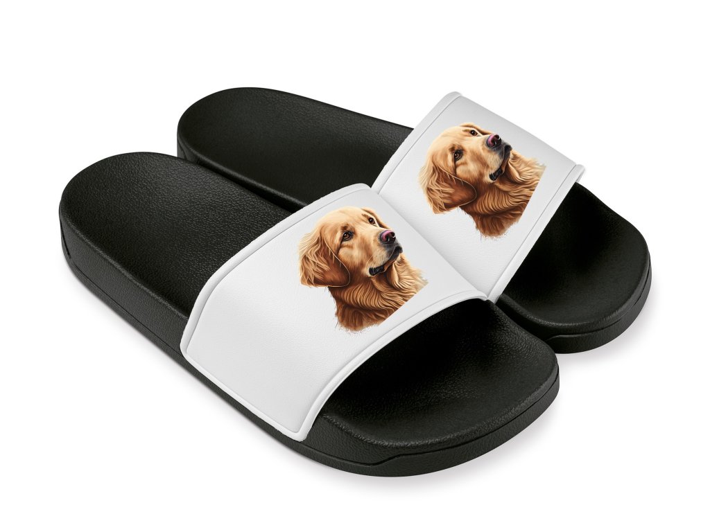 Papuče zlatý retriever
