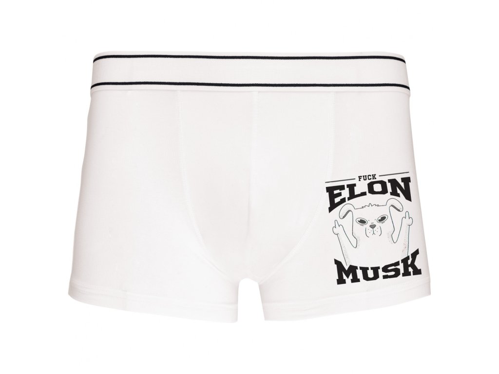 Zastav Musk hype!